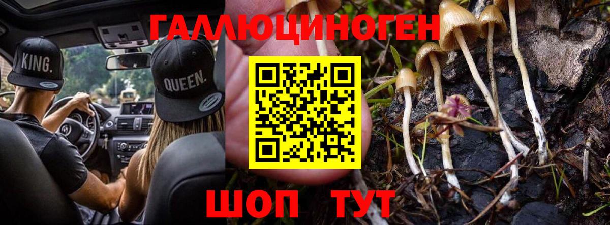Галлюциногенные грибы мицелий  Псилоцибиновые грибы Psilocybe  где найти   Свободный  Вход с VPN 