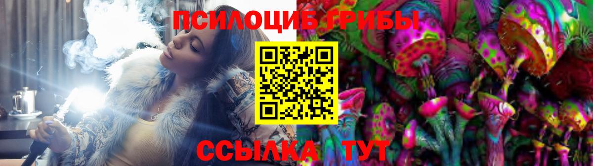 Галлюциногенные грибы Psilocybe Свободный