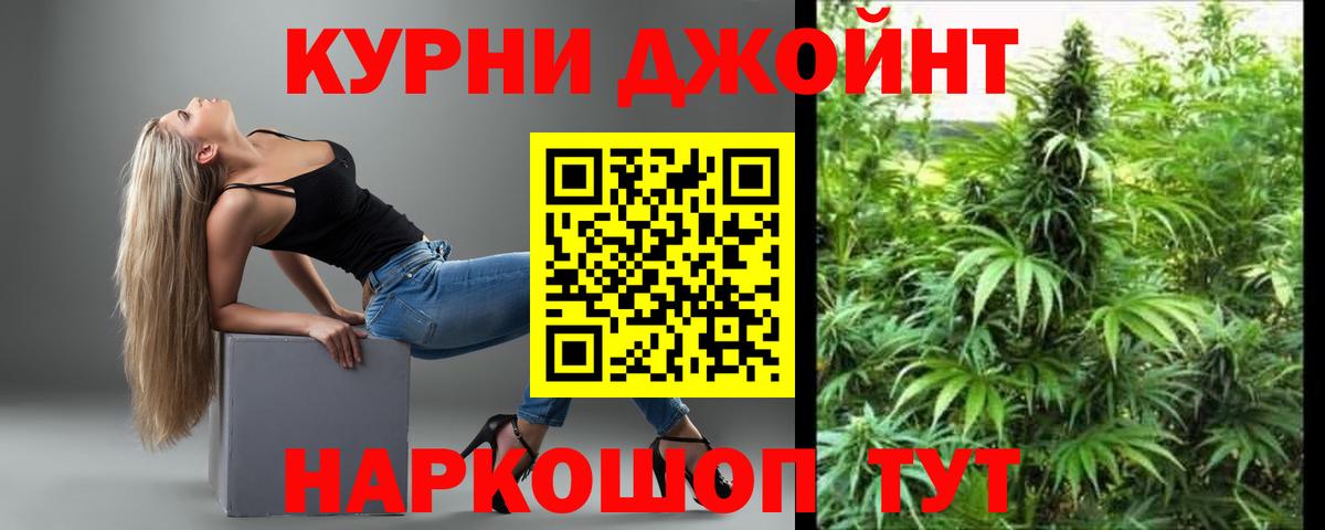 Шишки марихуана Ganja  Вход с VPN  Шишки марихуана SATIVA & INDICA  Свободный  Бошки марихуана сатива  Бошки марихуана индика 